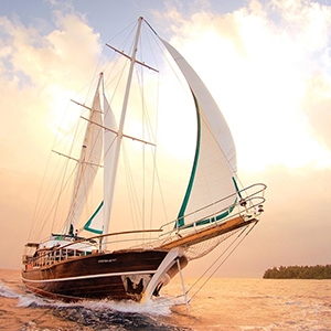 華益創新 華益創新